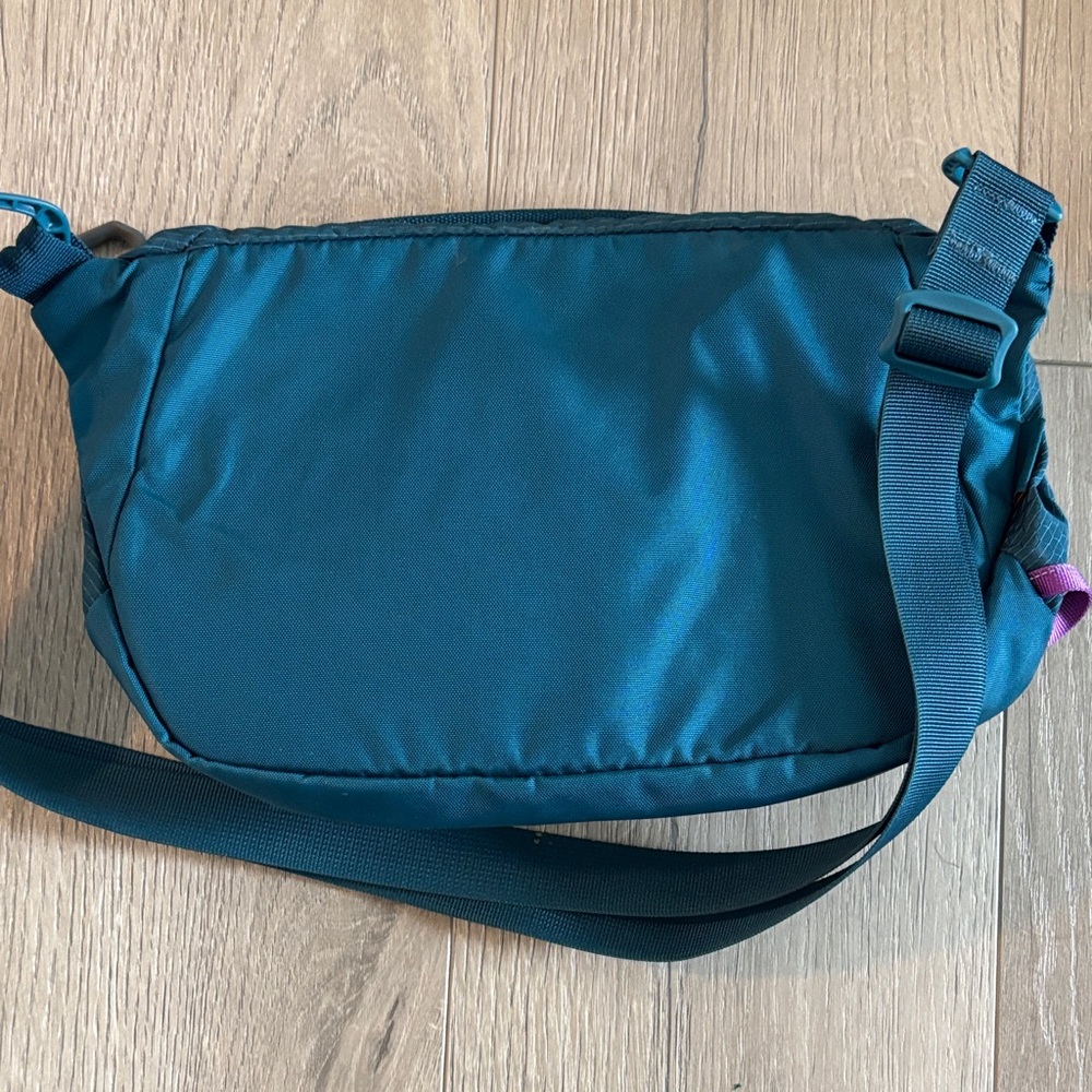 Gregory Navy and Orange Belt Bag - Picture 2 of 6